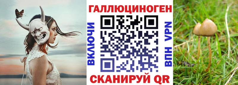 MEGA маркетплейс  Гусь-Хрустальный  Галлюциногенные грибы мухоморы 